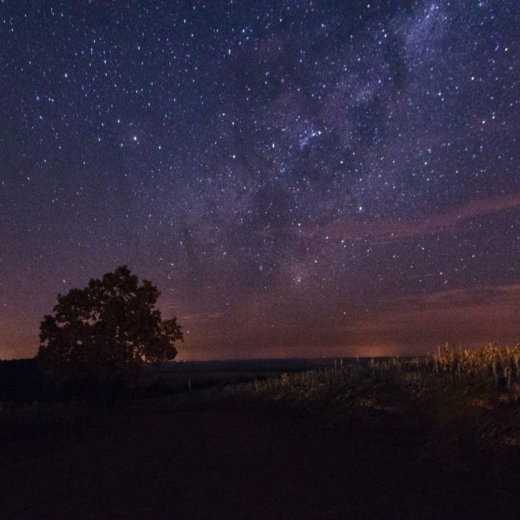 Sotto le Stelle Lungo la Vena
