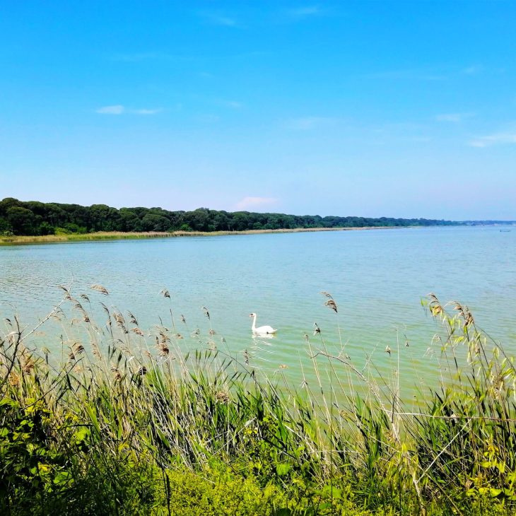 Il Verde Dietro il Mare