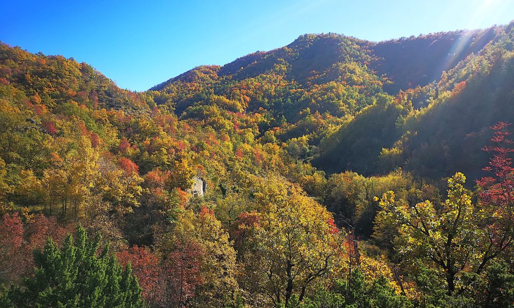 Autunno a Rio Salso