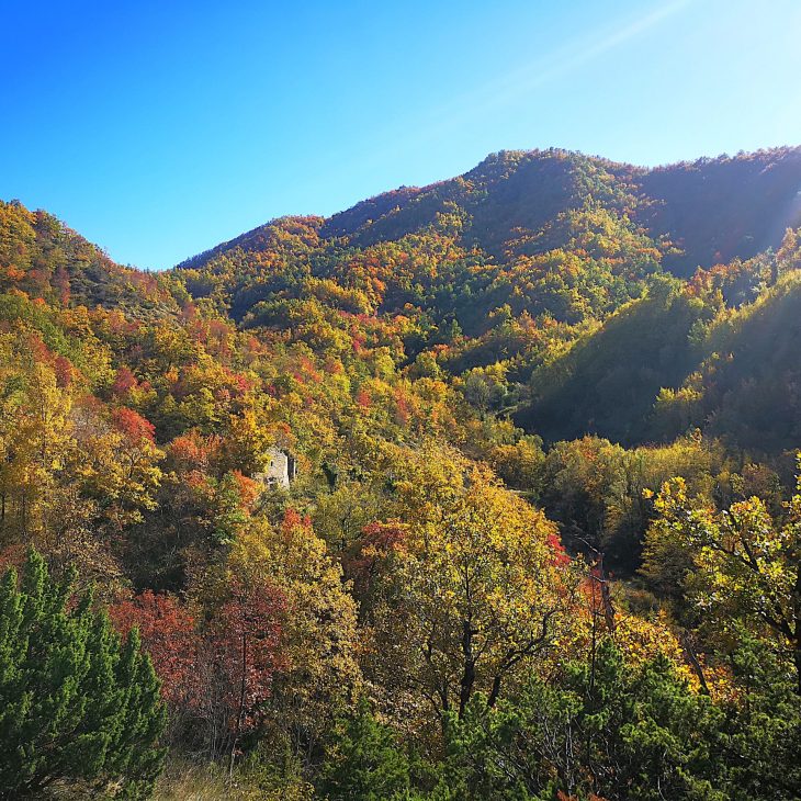 Autunno a Rio Salso