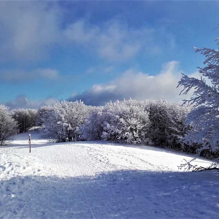 Domenica Mattina in Ciaspole